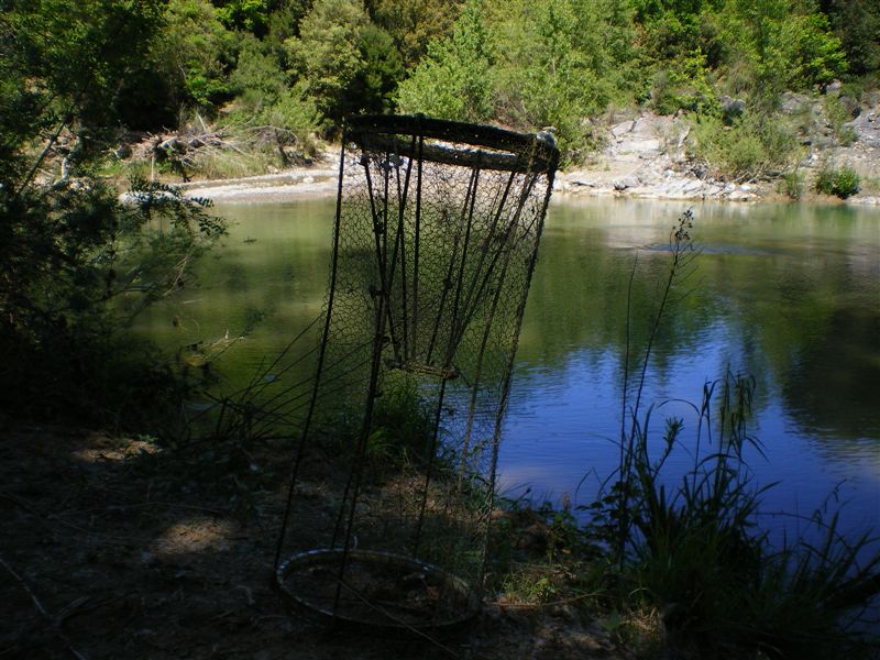 Bracconaggio ancora di attualit.